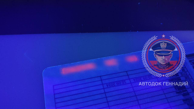 Фото из отчёта