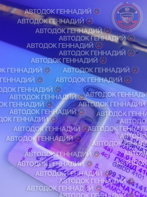 Фото из отчёта