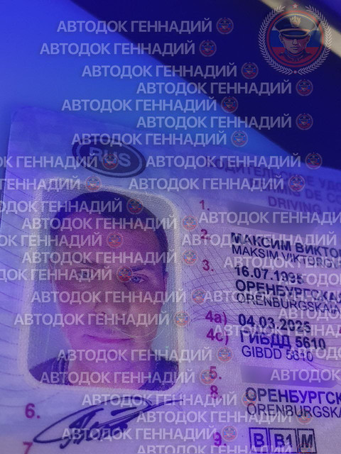 Фото из отчёта