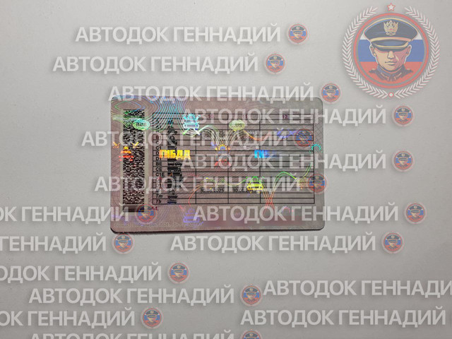 Фото из отчёта